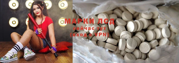 прущие грибы Осинники
