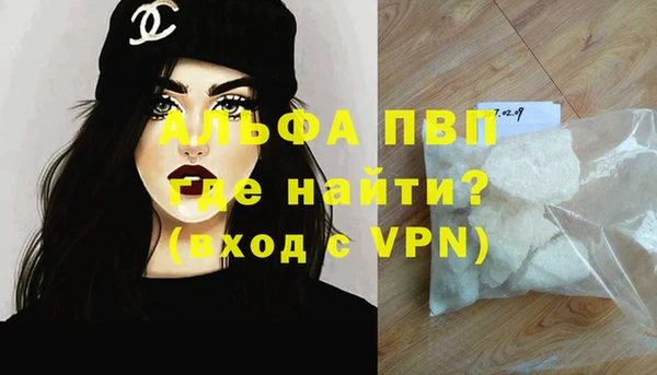 прущие грибы Осинники