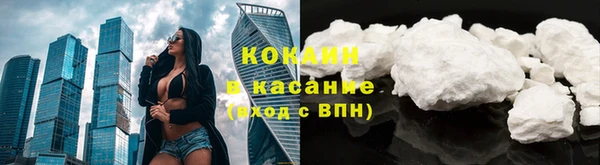 кокс Бородино