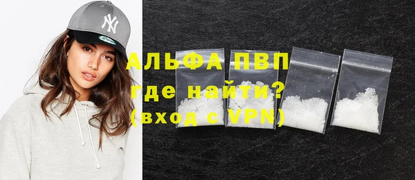 прущие грибы Осинники