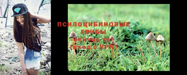 а пвп мука Богородицк
