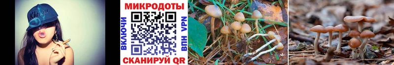 Галлюциногенные грибы MAGIC MUSHROOMS  купить наркотик  Череповец 